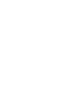 Roots and Connections Tree Service (Main Light Logo)