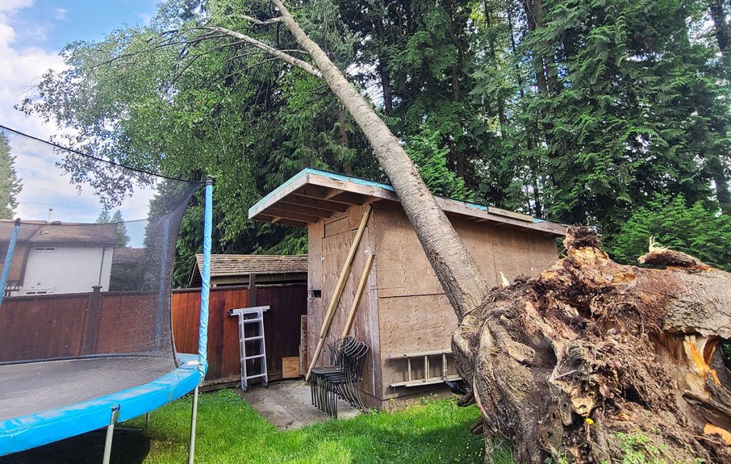 rc_img_service_emergency-services_1