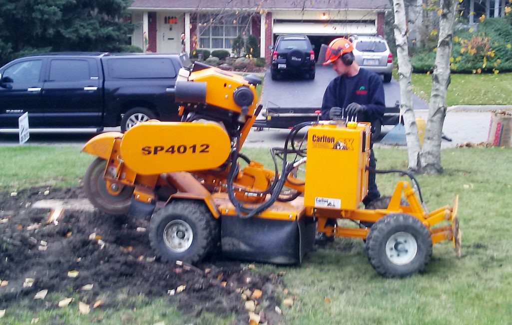 rc_img_service_stump-grinding_1