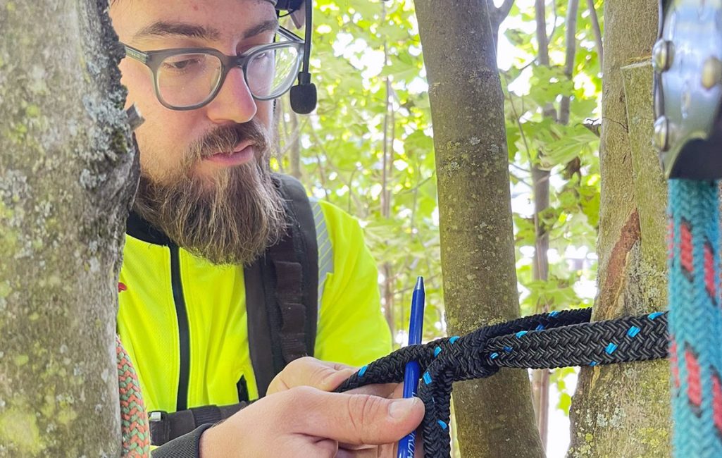 rc_img_service_tree-bracing_1