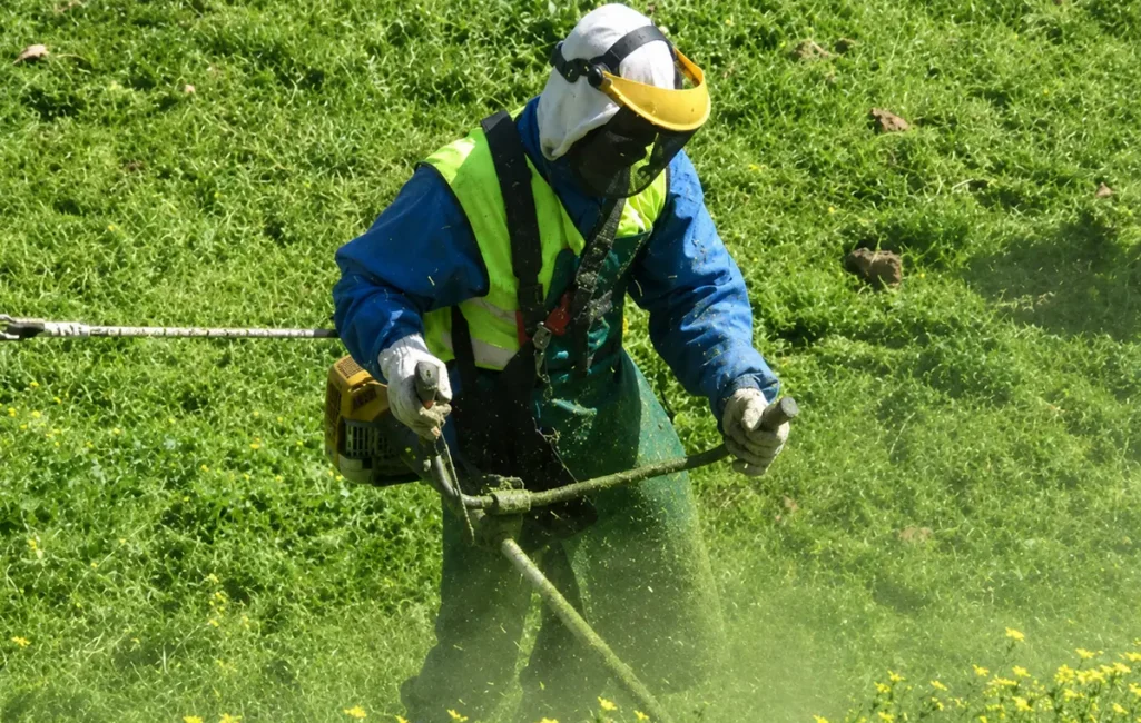 rc_img_service_vegetation-management_1